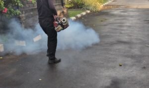 WhatsApp Image 2025-09-29 at 13.47.18