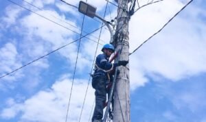 WhatsApp Image 2026-03-10 at 09.50.35